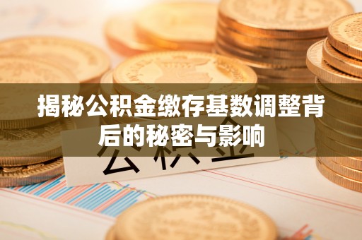 岗巴揭秘公积金缴存基数调整背后的秘密与影响