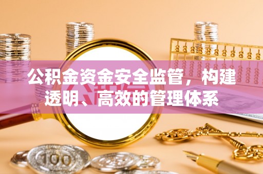 岗巴公积金资金安全监管，构建透明、高效的管理体系