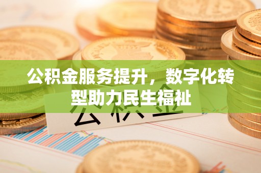 岗巴公积金服务提升，数字化转型助力民生福祉