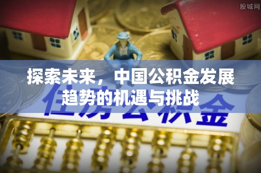 岗巴探索未来，中国公积金发展趋势的机遇与挑战