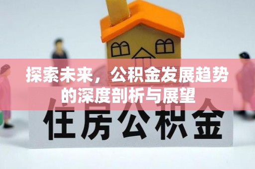 岗巴探索未来，公积金发展趋势的深度剖析与展望