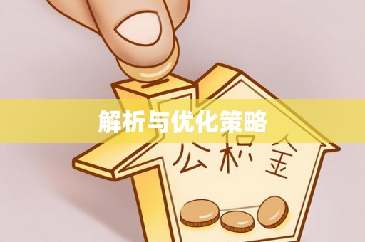岗巴解析与优化策略